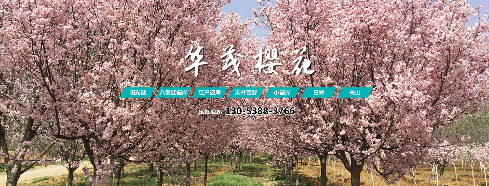 泰安市東岳衡器有限責任公司