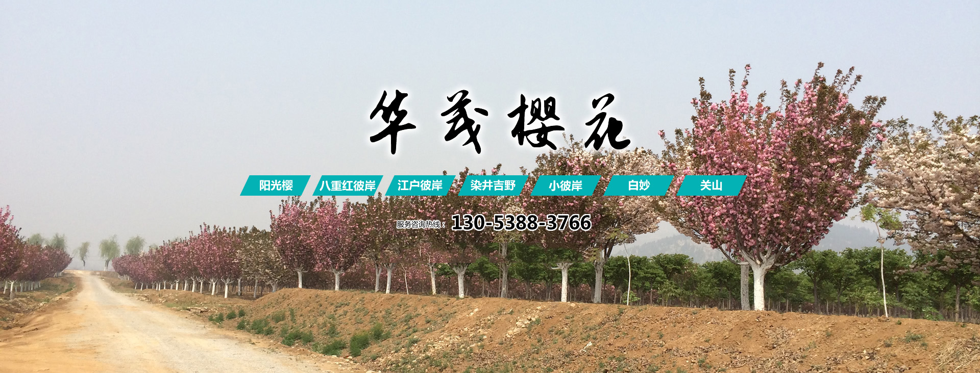 泰安市東岳衡器有限責任公司