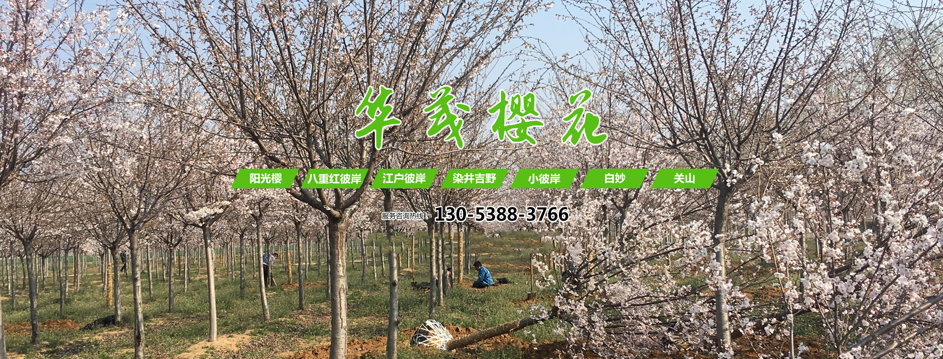 泰安市東岳衡器有限責任公司